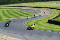 Middle 1 Group Yellow Bikes